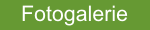 Fotogalerie